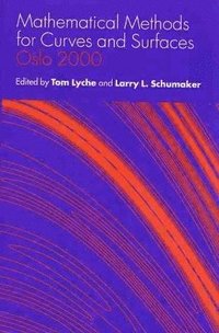 bokomslag Mathematical Methods for Curves and Surfaces: The Lyrical Landscapes of Federico Garcia Lorca