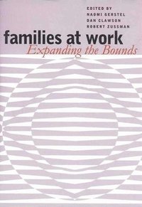 bokomslag Families at Work: John William Miller and the Crises of Modernity