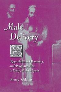 bokomslag Male Delivery: Reproduction, Effeminacy, and Pregnant Men in Early Modern Spain