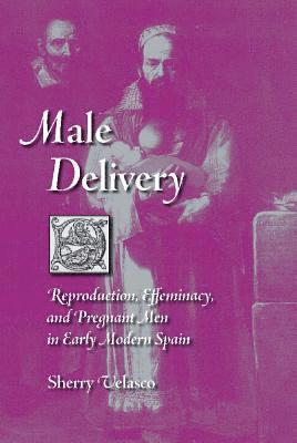 bokomslag Male Delivery: Reproduction, Effeminacy, and Pregnant Men in Early Modern Spain