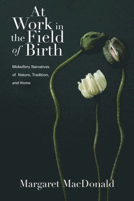 Margaret MacDonald - At Work in the Field of Birth, Häftad