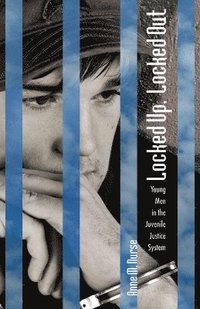bokomslag Locked Up, Locked Out: Young Men in the Juvenile Justice System
