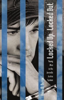 bokomslag Locked Up, Locked Out: Young Men in the Juvenile Justice System