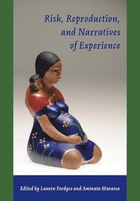 bokomslag Risk, Reproduction and Narratives of Experience