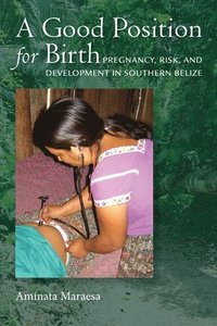 bokomslag A Good Position for Birth: Pregnancy, Risk, and Development in Southern Belize