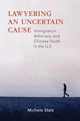 Michele Statz - Lawyering an Uncertain Cause, Inbunden