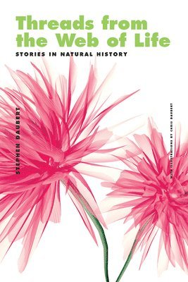 bokomslag Threads from the Web of Life & the Shark and the Jellyfish: Stories in Natural History