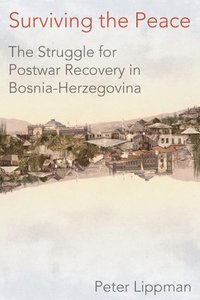 bokomslag Surviving the Peace: The Struggle for Postwar Recovery in Bosnia-Herzegovina
