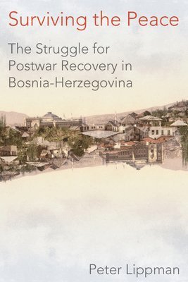 bokomslag Surviving the Peace: The Struggle for Postwar Recovery in Bosnia-Herzegovina