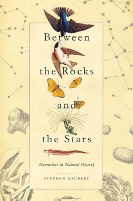 Between the Rocks and the Stars 1