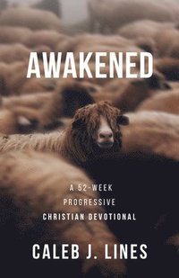 bokomslag Awakened