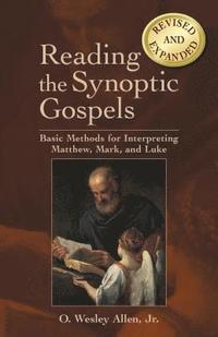 bokomslag Reading the Synoptic Gospels