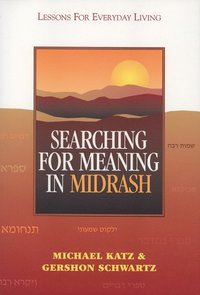 bokomslag Searching for Meaning in Midrash