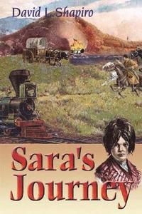bokomslag Sara's Journey