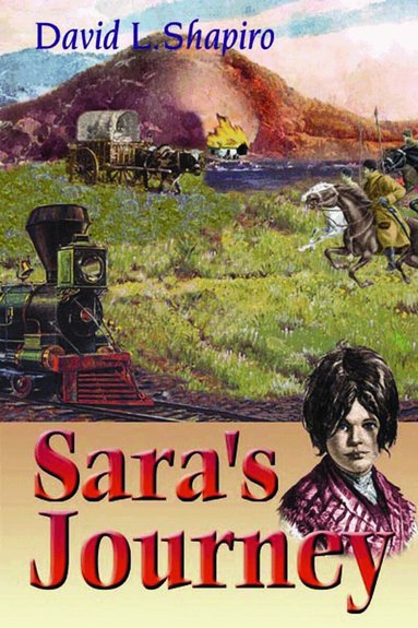 David L. Shapiro - Sara's Journey, Häftad