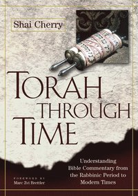 bokomslag Torah Through Time