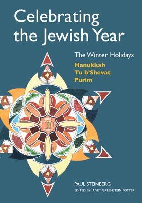 bokomslag Celebrating the Jewish Year: The Winter Holidays