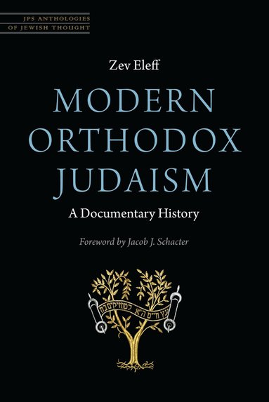 Zev Eleff - Modern Orthodox Judaism: a Documentary History, Häftad