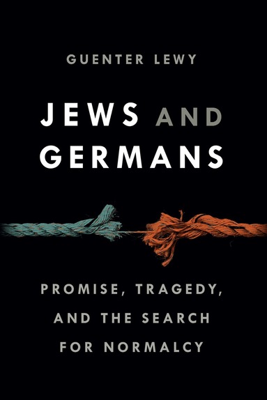 bokomslag Jews and Germans