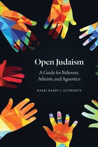 bokomslag Open Judaism