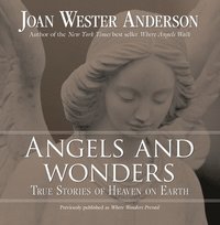 bokomslag Angels and Wonders: True Stories of Heaven on Earth
