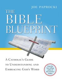 bokomslag The Bible Blueprint