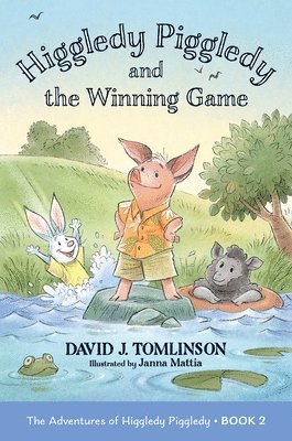 Higgledy Piggledy and the Winning Game: The Adventures of Higgledy Piggledy Book 2 Volume 2