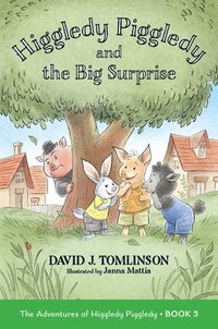 bokomslag Higgledy Piggledy and the Big Surprise: The Adventures of Higgledy Piggledy Book 3 Volume 3