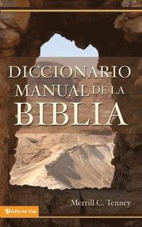 bokomslag Diccionario Manual De La Biblia