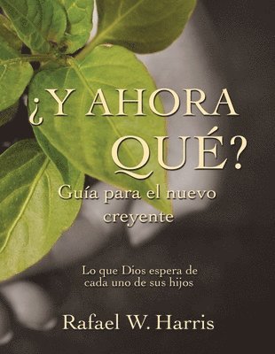 'Y Ahora Que? 1