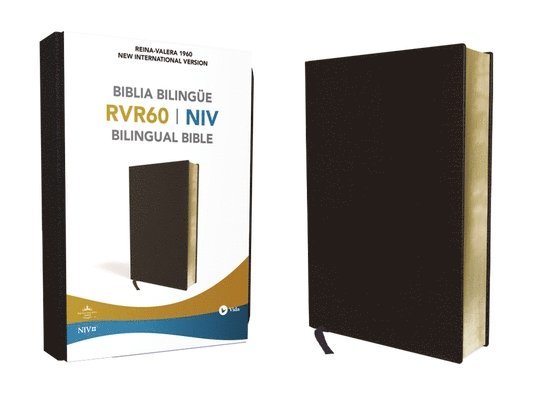 Rvr 1960/NIV Biblia Bilingue 1