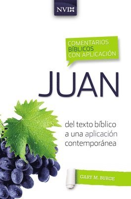 Gary M Burge - Comentario Bíblico Con Aplicación NVI Juan, Häftad