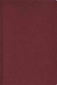 bokomslag Rvr, Biblia de Estudio Trasfondo Cultural, Leathersoft, Rojo Vino, Interior a Color, Comfort Print: Explora El Mundo Antiguo de la Escritura