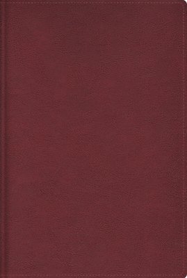 bokomslag Rvr, Biblia de Estudio Trasfondo Cultural, Leathersoft, Rojo Vino, Interior a Color, Comfort Print