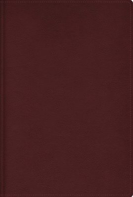 bokomslag Rvr, Biblia de Estudio Trasfondo Cultural, Leathersoft, Rojo Vino, Interior a Color, Con Índice, Comfort Print