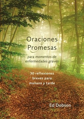 Oraciones y promesas Softcover Prayers and Promises When Facing a Life-Threatening Illness