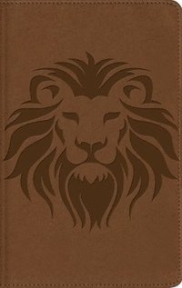 bokomslag Nbla, Biblia Visual de Estudio Para Niños, Leathersoft, León Café: Explora La Biblia: Personajes, Lugares E Historia