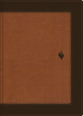 bokomslag Rvr60, Biblia de Estudio de la Vida Plena, Edición Clásica, Leathersoft DOS Tonos Café, Palabras de Jesús En Rojo, Comfort Print