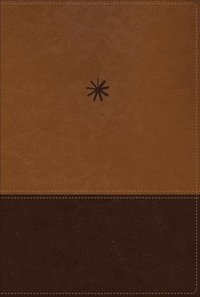 bokomslag NBLA, Biblia Cronológica de Estudio, Interior a cuatro colores, Leathersoft, dos tonos café, Comfort Print