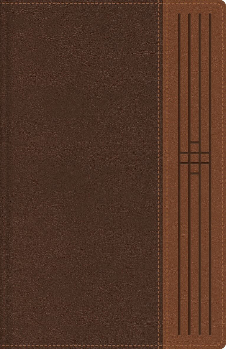 RVR 1960- Reina Valera 1960, NBLA-Nueva Biblia de Las Américas, NVI-Nueva Version International, NTV – Nueva Traducción Viviente, Vida - El Nuevo Testamento en cuatro versiones, (RVR60, NBLA, NVI, NTV), Columnas paralelas, Leathersoft, Café, Inbunden