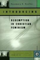 bokomslag Introducing Redemption in Christian Feminism