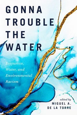 bokomslag Gonna Trouble the Water: Ecojustice, Water, and Environmental Racism