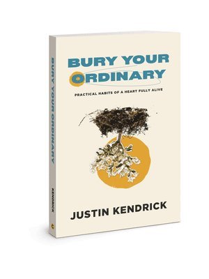 bokomslag Bury Your Ordinary
