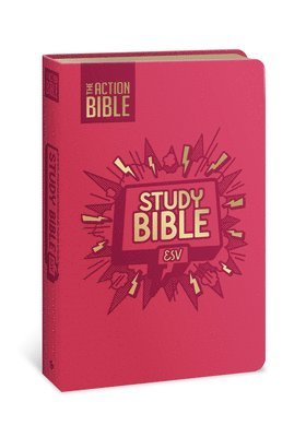 Action Bible Study Bible ESV, Leathersoft, Pink, Full Color