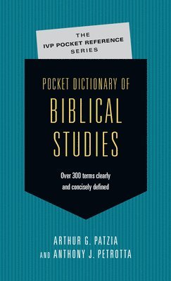 bokomslag Pocket Dictionary of Biblical Studies: Over 300 Terms Clearly Concisely Defined