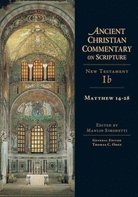 bokomslag Matthew 1428