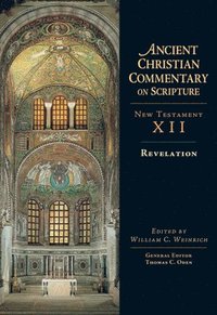 bokomslag Revelation: Volume 12 Volume 12