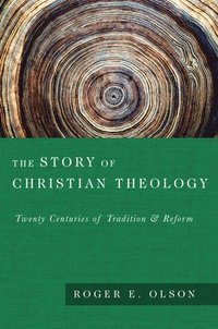 bokomslag The Story of Christian Theology