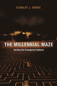bokomslag Millennial Maze  The