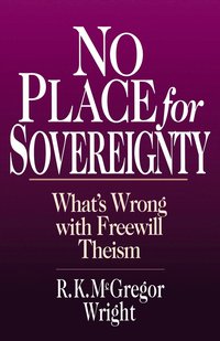 bokomslag No Place for Sovereignty
